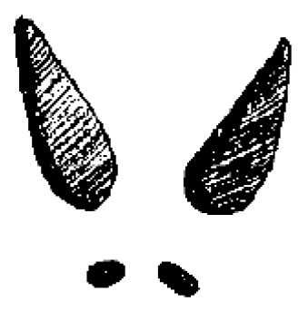 Deer foot print when running or walking in mud