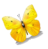 A cartoon image of a yellow butterfly