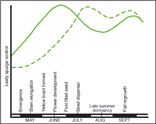 A graph showing the susceptibility of leafy spurge to various herbicides throughout the growing season