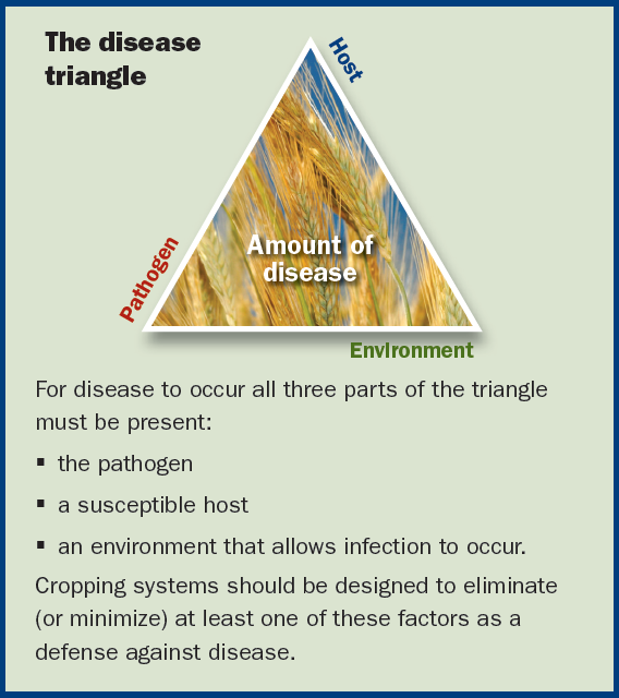 The disease triangle