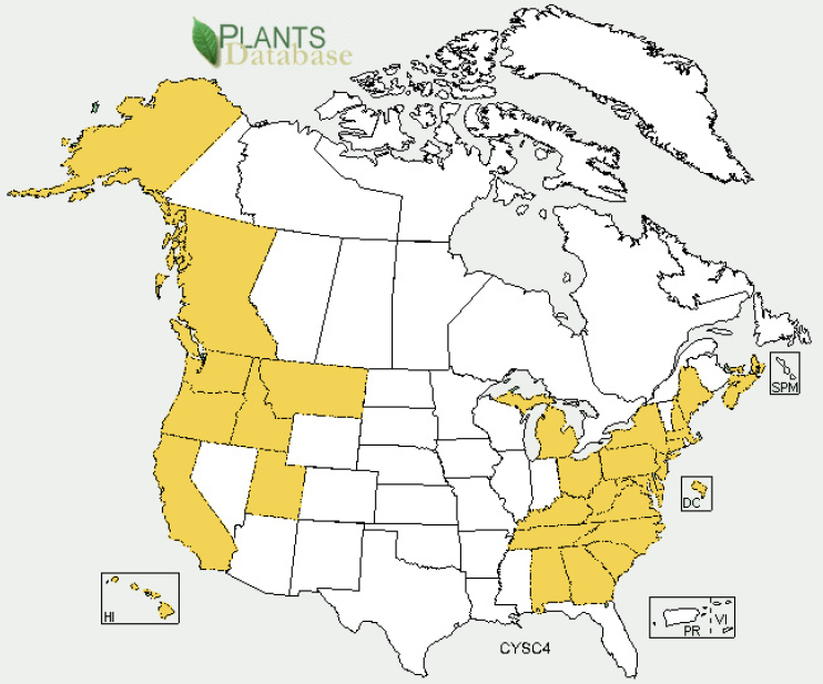 Map of the United States showing occurrence of Scotch broom