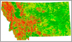 A map of Montana showing risk for knapweed occurrence. Western Montana is much higher risk than Eastern Montana.