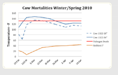 Line graph of temperatures and cow mortalities