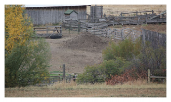 A pile of manure sitting in a lot