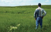 A farmer standing in his field