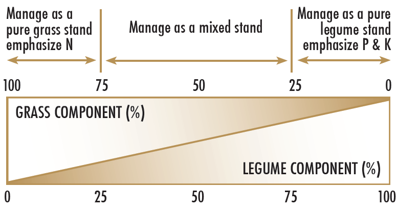 Nutrient focus depends on ratio of grass to legumes in the stand
