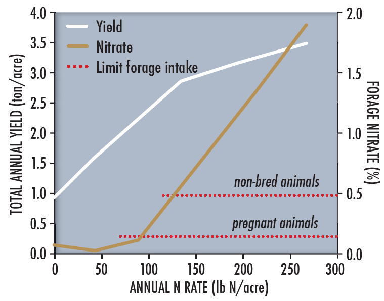 Bar graph demonstrating that nitrates in bromegrass reached levels toxic to livestock at N rates less than rates which maximized production.