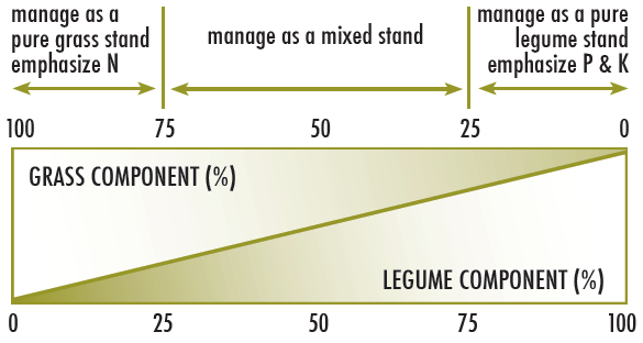 Nutrient focus depends on ratio of grass to legumes in the stand