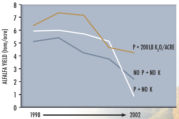 A line graph demonstrates that levels of alfalfa yield decreased without potassium fertilization after a few years