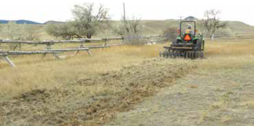 A farmer rides a tractor and prepares their orchard site by discing 