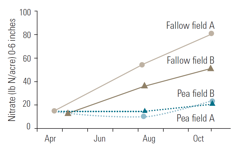 Line graph demonstrating nitrate accumulation in top 6-inches from April through November on two fields in central Montana. Both fallow fields have higher nitrate levels than either pea field