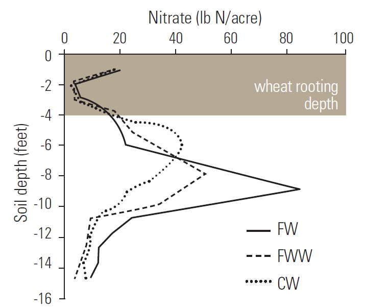 Line graph demonstrating Soil nitrate after 37 years of dryland fallow-wheat (FW), fallow-wheat-wheat (FWW), or continuous wheat