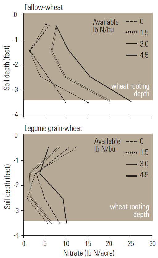Two line graphs demonstrating March soil nitrate in 1-foot increments after wheat in fallow-wheat or legume grain-wheat at four available-N rates