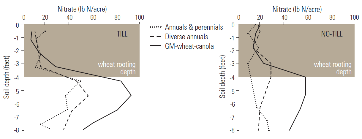 Two line graphs demonstrating soil nitrate after 11 years in cropping systems with green manure (GM)-wheat-canola, diverse annuals, or diverse annuals and perennials with tillage or no-till