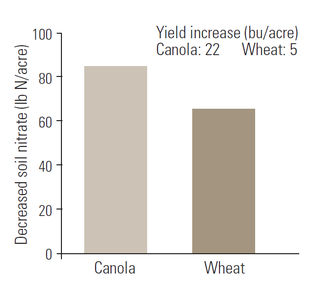 Bar graph demonstrating addition of 13 to 18 lb S/acre on sulfur deficient soil increased yields and decreased residual soil nitrate in the top 2-feet