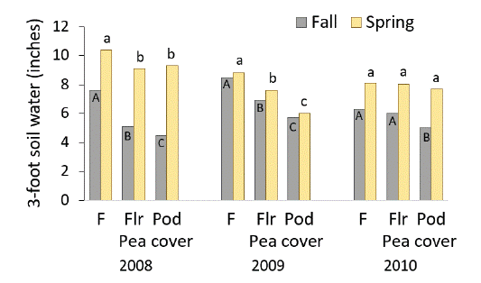 A bar graph demonstrating three years of data comparing soil water after fallow and pea terminated at either flower or pod.