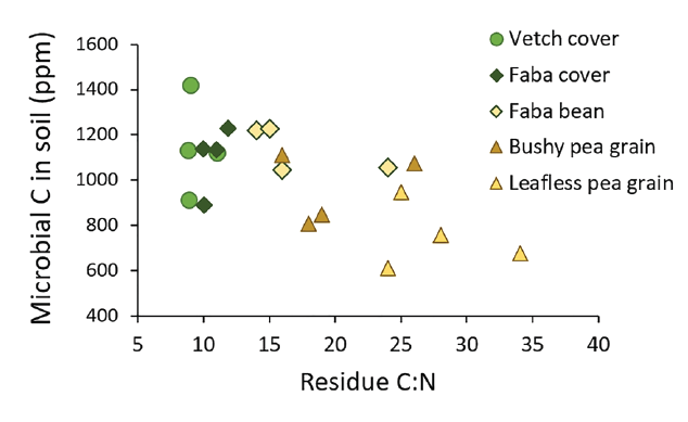 A graph demonstrating the relationship between the initial C:N of crop residue and soil microbial biomass C in summer of third subsequent crop