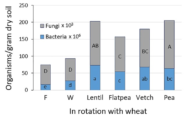 Bar graph showing the fungi and bacteria counts in top 4-inch of soil following six years of crop rotations.