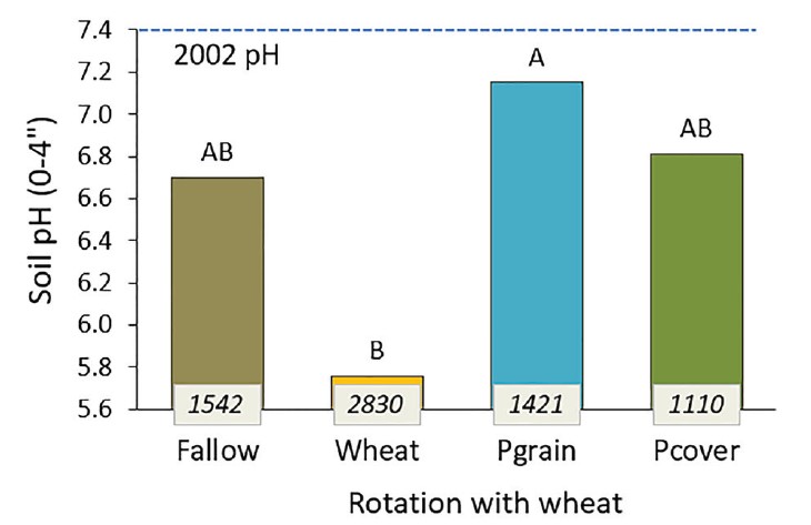 A bar graph demonstrating soil pH after 18 years of fallow, wheat, pea grain, pea cover in no-till rotation with wheat