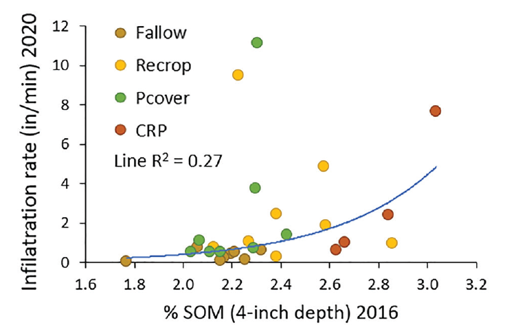 A graph demonstrating the water infiltration rate by percent soil organic matter after 18 years of fallow, wheat or pea grain (re-crop), pea cover (chemical terminated generally at plump pod, sooner if weeds were a problem, or hayed then sprayed) in rotation with wheat, and CRP (10 years Conservation Reserve Program: mostly alfalfa with some grass) followed by pea grain-wheat 