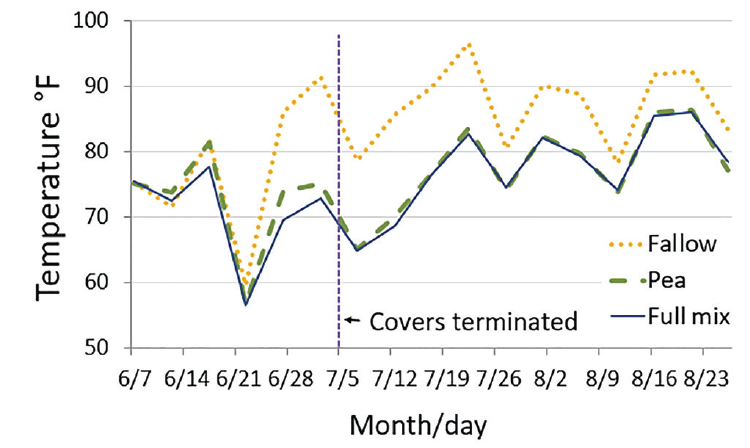 A graph demonstrating summer soil temperature at 2-inch depth at 4 p.m. in fallow, pea cover, and 8-species cover chemically terminated at early bloom.
