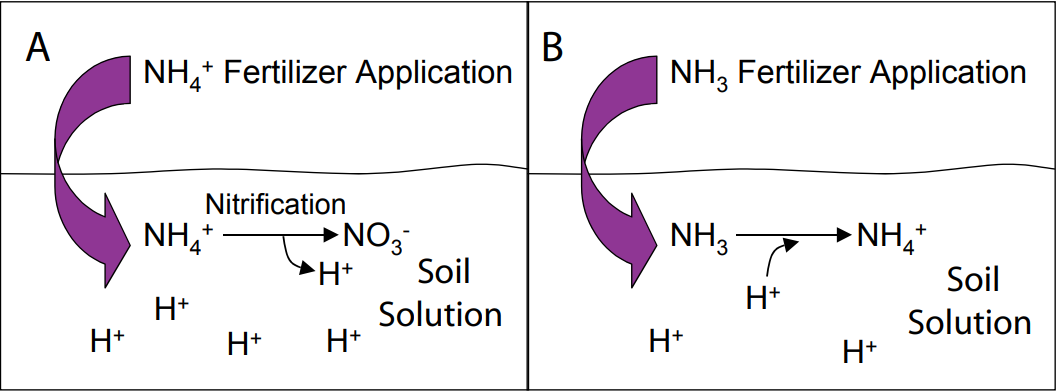  Effects of fertilizer applications on pH.