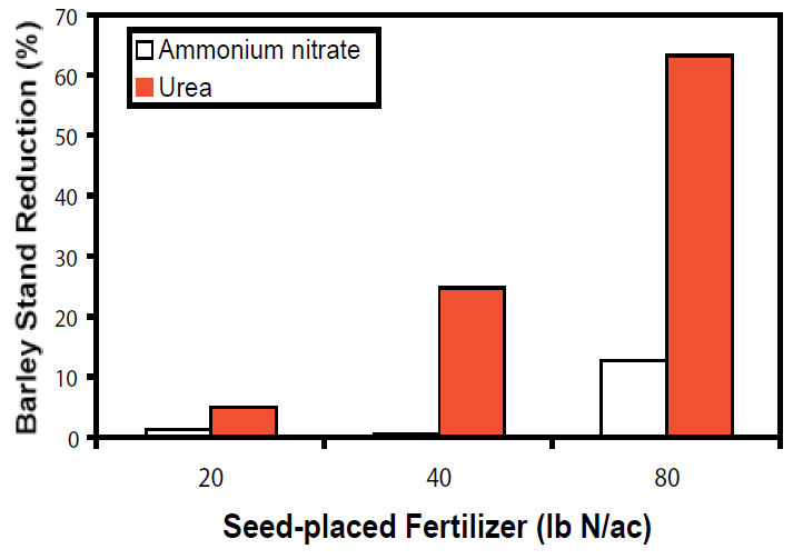 Bar graph demonstrating that barley stand reduction percentage is lowest when seed-placed fertilizer is 20 pounds per acre, and highest at 80 pounds per acre. It is always higher for urea than for ammonium nitrate