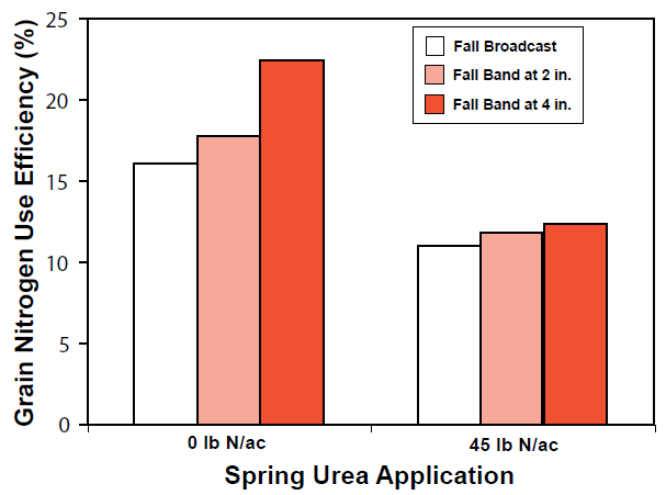 Bar graph demonstrating the effect of fall urea placement on grain nitrogen use efficiency of winter wheat with and without a spring urea application