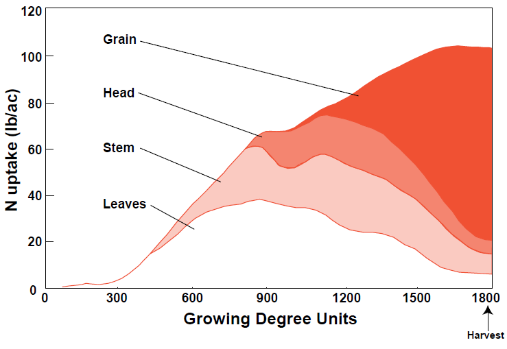 Nitrogen accumulation in leaves, stem, head, and grain for HRS wheat