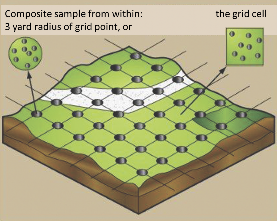 Soil sampling scheme by zone on a hand-drawn soil patch showing four different soil zones