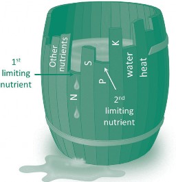 The law of the minimum visualized through a wooden barrel with different heights of wooden slats that are labelled as plant needs. The lowest slat is labelled as Nitrogen, which is the 1st limiting nutrient in this situation, causes the water to leak from the barrel