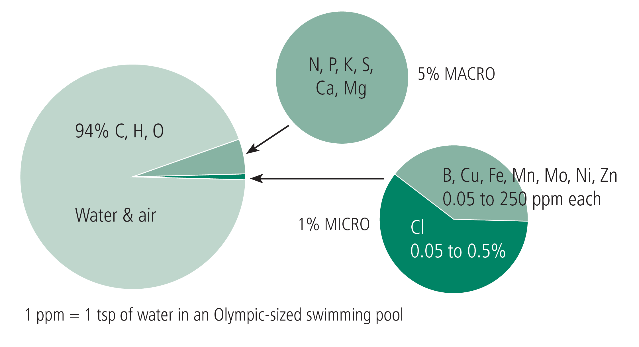 A pie graph with two sub-graphs explaining that most of the nutrients in dried plant material are water and air, second most common are macronutrients, and third most common are micronutrients, with over half of the micronutrient amounts being Cl