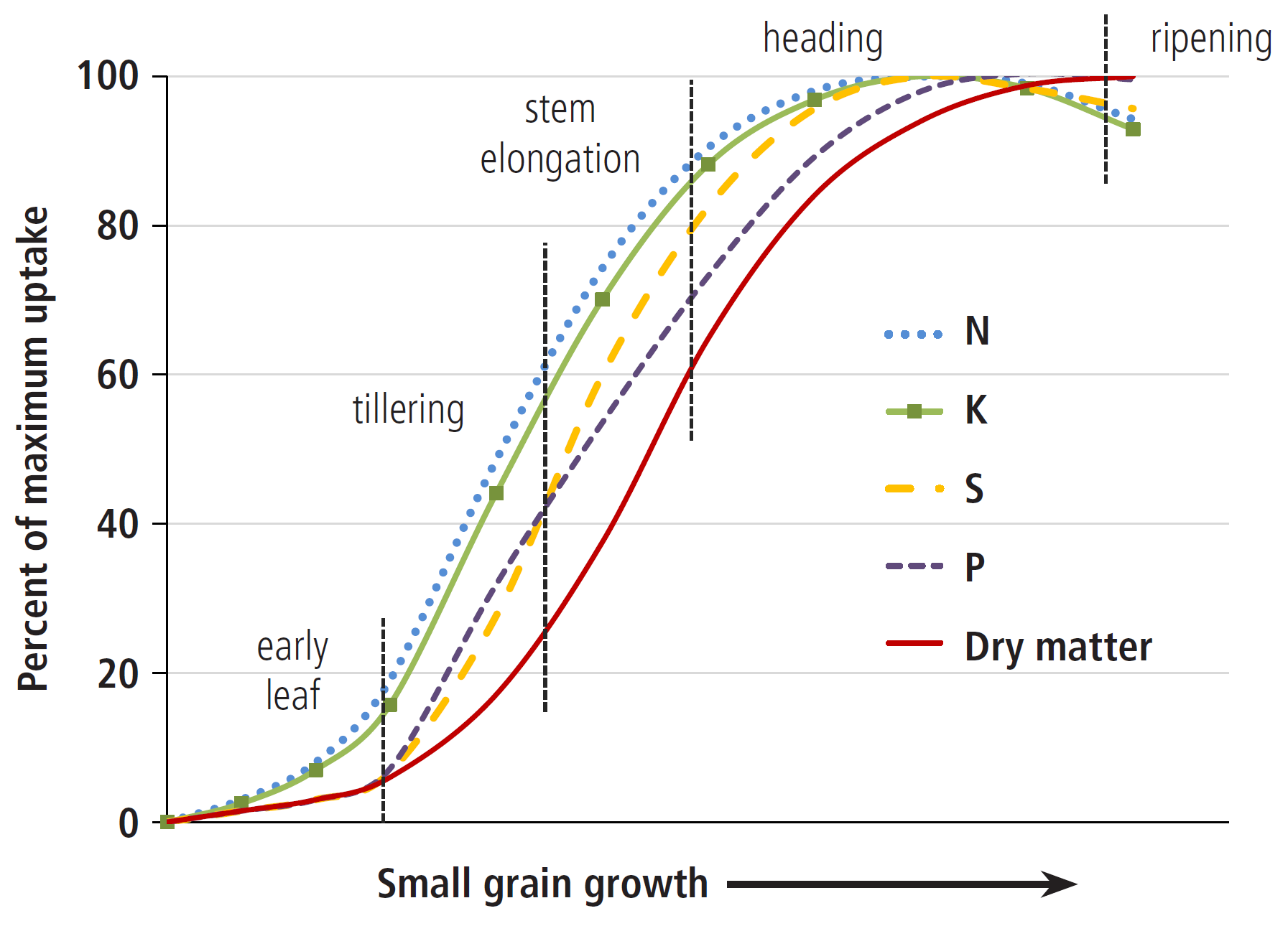 Graph displaying a bell-curve type relationship between small grain growth and percent of maximum upatake