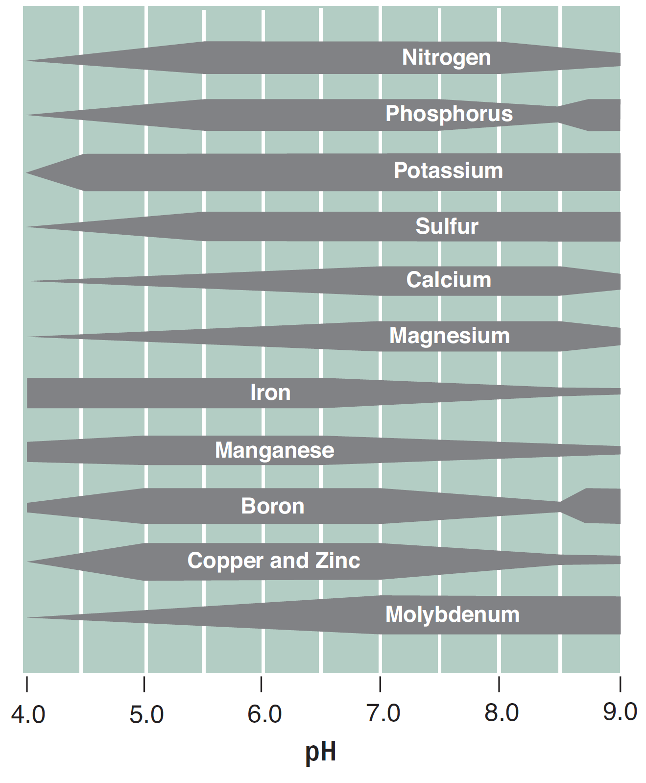Iron, Manganese, Boron, Copper, and Zinc tend to have higher nutrient availability at a lower pH than nitrogen, phosphorus, potassium, sulfur, calcium, magnesium, and molybdenum