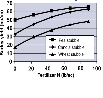 A line graph demonstrating yield of barley grown in pea, canola, and wheat stubble. Pea yield is higher than canola, and canola is higher than wheat. The yield increases as fertilizer increases.