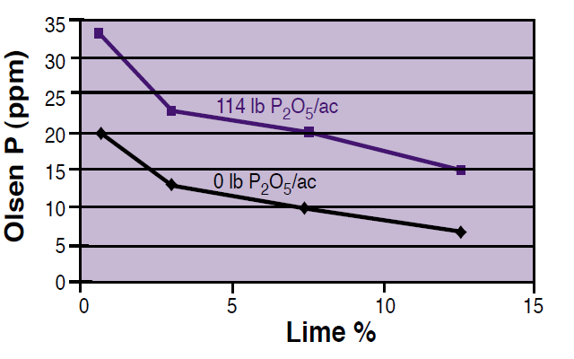 A line graph demonstrating the effect of soil lime concentration on Olsen P test level. 