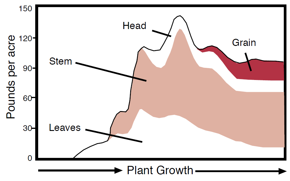 Graph showing the potassium accumulation during growing season for hard red spring wheat