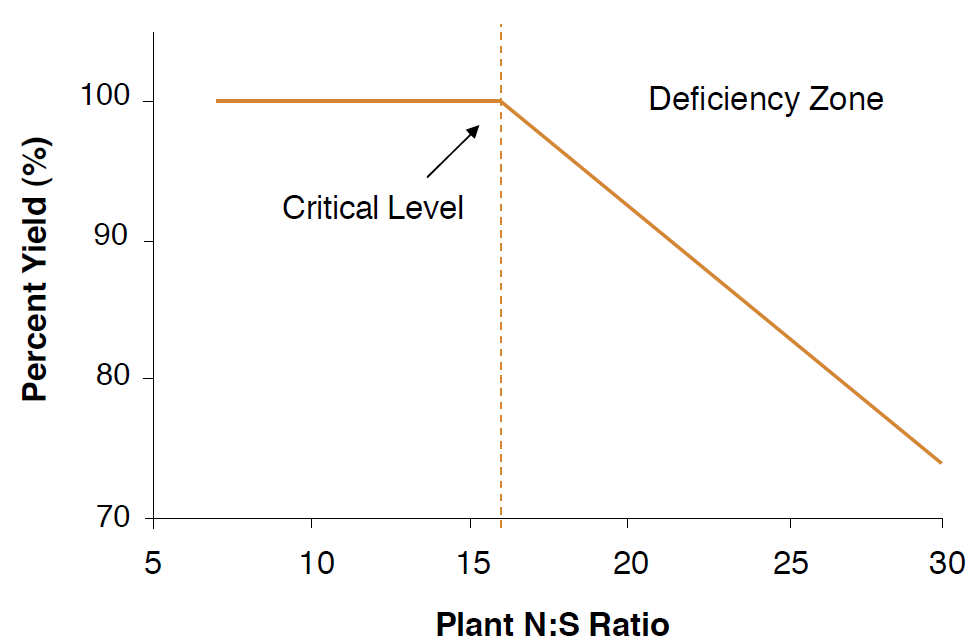 Line graph demonstrating the relationship between relative yield of a wheat plant and N:S ratio