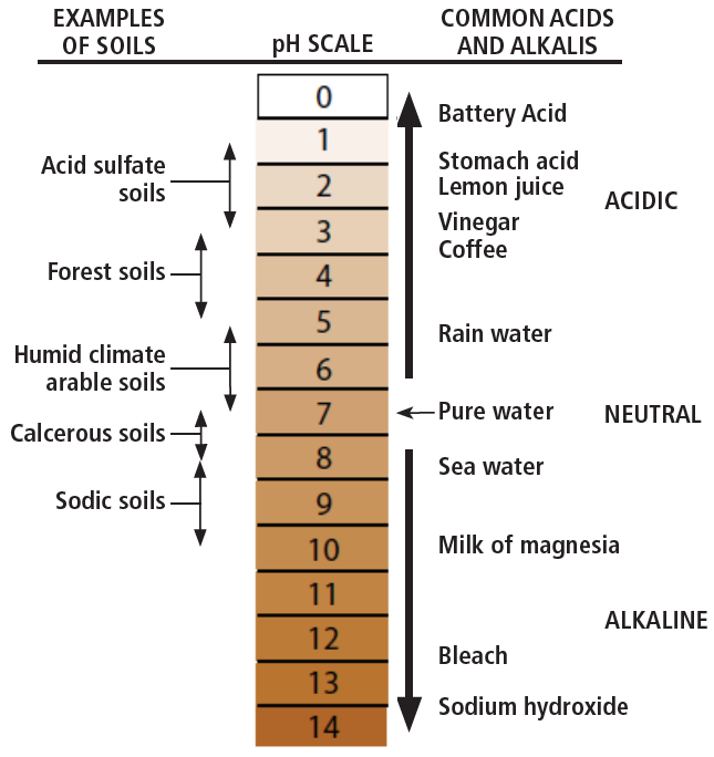 Visualization of the pH scale. As pH increases, acidity decreases