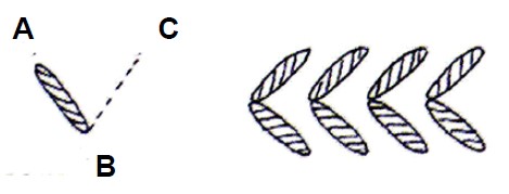 A black and white drawing of an arrowhead stitch