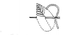 A black and white image of a fishbone stitch