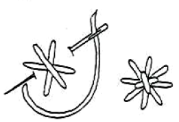 A black and white image of a star filling stitch