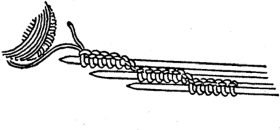 A black and white hand drawn image of casting on four needles